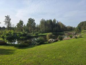 a pond in a field next to a grassy field at Hõbesoo Puhkekeskus in Lepiku