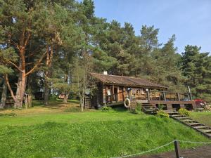 a log cabin on a grassy hill with trees at Hõbesoo Puhkekeskus in Lepiku