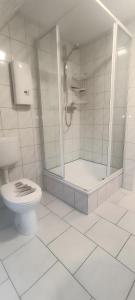 a white bathroom with a shower and a toilet at Ruhe und Natur in Seedorf in Demmin