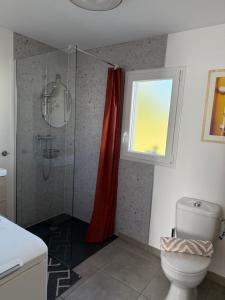 ein Badezimmer mit Dusche, Toilette und Fenster in der Unterkunft La petite maison in Sainte-Marie-de-Chignac