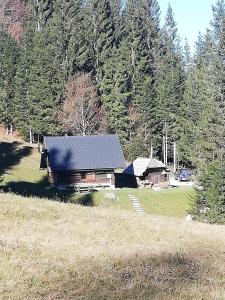 a cabin in the middle of a field with trees at Brunarica na Goreljeku, Pokljuka in Bohinj