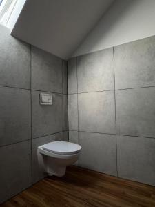 a bathroom with a white toilet in a room at Casa del Mondo 3 in Sankt Aldegund +22 photos