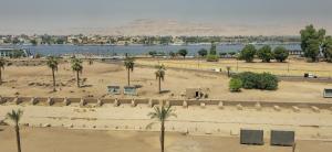 ルクソールにあるS S Luxor Hotelの椰子の木と水の集まる公園