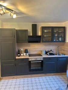 a kitchen with blue cabinets and a sink at Laubushof - Idyllisches Apartment im Grünen mit Balkon in Villmar +6 photos