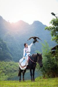 Hữu LũngにあるMichi Camp Hữu Liênの鳥と一緒に馬に乗った女性
