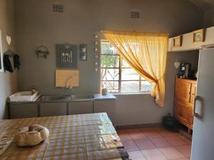 a kitchen with a sink and a window at Rooidam Farm Accomodation in Modderrivier