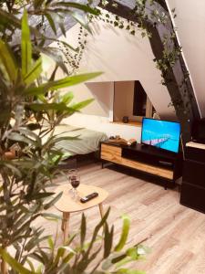 a living room with a tv and a coffee table at L' URBAN Jungle - Evasion en centre-ville in Rouen