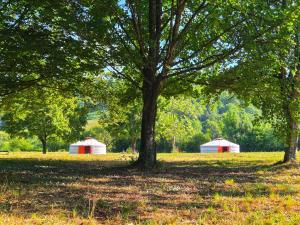 two red and white tents in a field with trees at Yourte Mongole traditionnelle in Saint-Pé-de-Bigorre