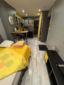 Ένα ή περισσότερα κρεβάτια σε δωμάτιο στο Studio tres confortable en centre ville