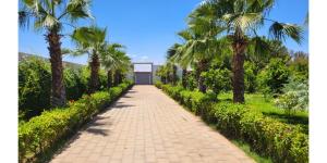 a brick pathway with palm trees and a building at L'Oasis in Mzerguia +31 photos