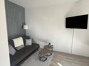 a living room with a couch and a tv at Gemütliche 1-Zimmer-Wohnung im Zentrum mit Stellplatz in Magdeburg