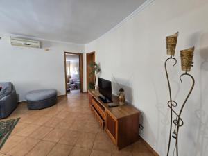 a living room with a tv and a couch at Tona Apartment 01 in Tirana
