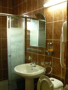 a bathroom with a sink and a toilet and a mirror at Pensiunea Delfinul in Văleni