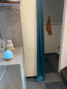 a bathroom with a blue curtain and a toilet at Chambre indépendante tout confort in Boé +3 photos