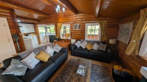 a living room with a couch and a table at IVY Cabin in Trawsfynydd