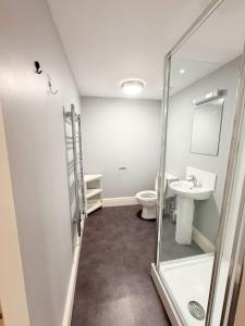 a bathroom with a shower and a toilet and a sink at Beautiful studio - Whiteladies road in Bristol