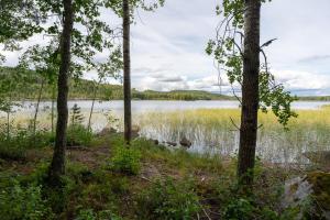 a view of a lake through the trees at Private High Quality Suite by the Lakeside in Jyväskylä