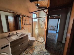 a bathroom with a sink and a shower and a toilet at Welcome to your rural retreat, Casita Canaria III in La Sabinita +4 photos