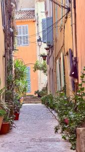 un callejón en un casco antiguo con plantas y edificios en Les Templiers - Downtown and private garage, en Hyères
