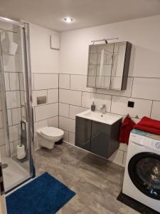 a bathroom with a toilet sink and a washing machine at Wieprecht`s Vermietung in Deutsches Haus +7 photos