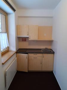 Η κουζίνα ή μικρή κουζίνα στο Holiday in Bohemian Forest in the picturesque village of Prášily