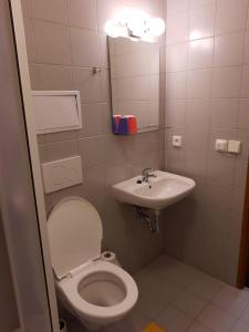 Ένα μπάνιο στο Holiday in Bohemian Forest in the picturesque village of Prášily