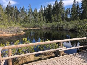 Φυσικό τοπίο κοντά σε αυτό το διαμέρισμα +4 φωτογραφίες