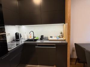 a kitchen with black cabinets and a sink at Leo Pine Lux Apartments in Zlatibor +1 photo