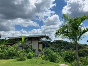 una casa in mezzo a un campo con alberi di Fazenda 101 a Ilhéus