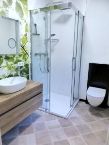 WalkenriedにあるWaldhaus Staufenbergblick in Zorgeのシャワーとトイレ付きのバスルーム