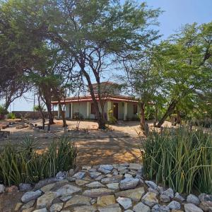 a house with trees and a stone path in front of it at Pousada Mae Natureza Icapuí in Icapuí