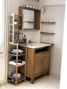 une salle de bain avec un lavabo et un miroir dans l'établissement Appartement en rez de villa, à Montpellier
