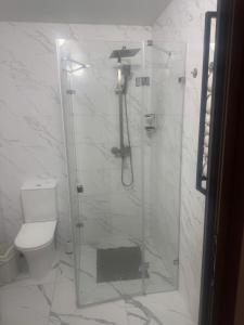 ein Badezimmer mit Dusche und Toilette in der Unterkunft Артур in Berdychiv + 11 Fotos
