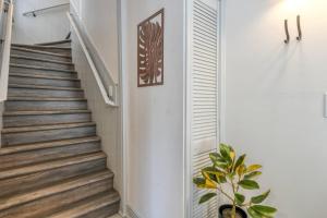 a staircase in a house with a plant at 15 Hypolita in St. Augustine