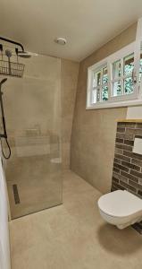a bathroom with a shower with a toilet and a sink at Kleine Buur in Warnsveld