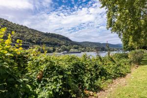 LeutesdorfにあるPunkt15 - Modern - Rollstuhlgerechtの山を背景に流れる川の眺め