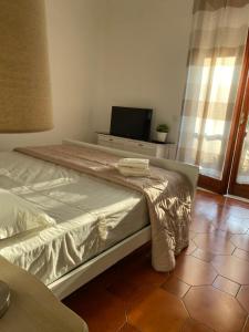 Un dormitorio con una cama y un televisor de pantalla plana. en Casa Vacanza Gioia, en Pompeya