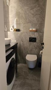 a small bathroom with a toilet and a sink at Apartment am Waldrand mit Einzelgarage, Nähe City, Messe & Flughafen in Leinfelden-Echterdingen