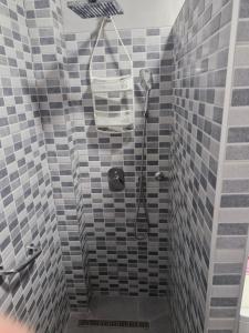 a bathroom with a shower with a scale on the wall at DiS Apartman in Vršac +7 photos