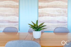 a potted plant sitting on top of a wooden table at Boomer View in Port Elliot