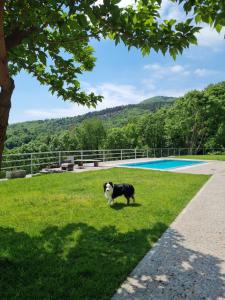 Příroda nedaleko prázdninového domu