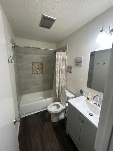 Un baño con inodoro, lavabo y ducha. en FORT Hambledon: SeaWorld Medical Ctr and The RIM, en San Antonio