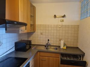 una cocina con fregadero y microondas en Comfortable Apartment in Hattersheim, en Hattersheim