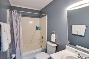 a bathroom with a sink and a toilet and a tub at Private Patio Apt 6 Mi to Cheraw State Park! in Cheraw +16 photos