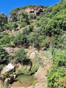 Gallery image of مأوى الكوف السياحي in M'diq