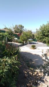 a driveway with a parking lot with trees and a building at Quinta Castilho in Fortes de Cima
