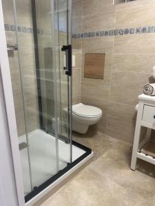 un bagno con wc e doccia in vetro di Charmant Studio village montagne a Bastelica Altre 3 foto