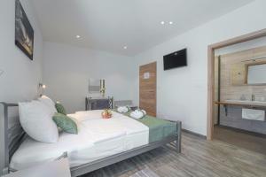 TV a/nebo společenská místnost v ubytování Villa Ingrid in Buzet - Haus für 6 Personen