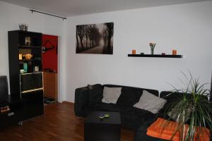 プラハにあるSunny Two-story Apartment Kyjeのリビングルーム(黒いソファ、テレビ付)
