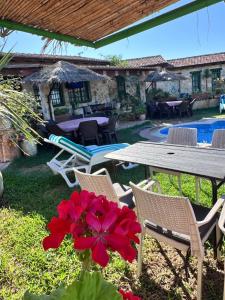 a patio with a table and chairs and a red flower at Le petit Olivier  +23 photos